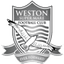 Worthing vs Weston Super Mare, Round 46 Stats, Predictions & H2H - Stats24