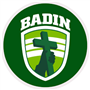 Badín