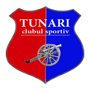 CS Tunari