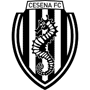 Cesena U19