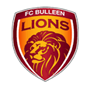 Bulleen Lions