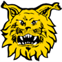 Ilves U20