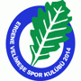 Ergene Velimese Spor