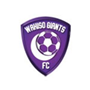 Wakiso Giants