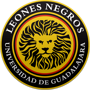 Leones Negros II