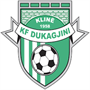 KF Dukagjini