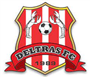 Deltras Sidoarjo