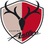 Kashima Antlers