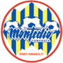 Montedio Yamagata