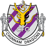 Jeonnam Dragons