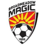 Broadmeadow Magic Res.