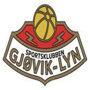 Gjovik-Lyn