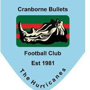 Cranborne Bullets FC