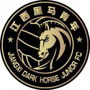 Jiangxi Dark Horse