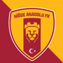 Nigde Anadolu FK