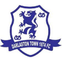 Darlaston Town FC