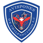 CD Avispones de Chilpancingo