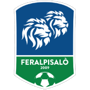 FeralpiSalo U19