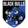 Black Bulls Maputo