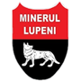 Minerul Lupeni